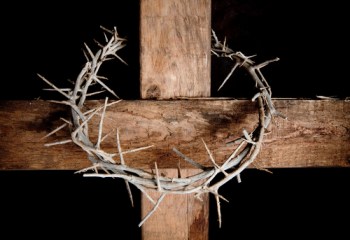 shutterstock_44203843