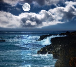 shutterstock_92706310