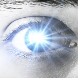 shutterstock_107608766