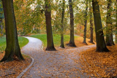 shutterstock_88633219