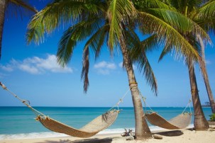 shutterstock_116510107