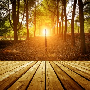 shutterstock_150252494