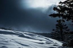 shutterstock_182019791