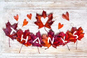 shutterstock_159498437