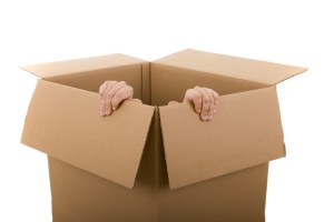 shutterstock_28374553