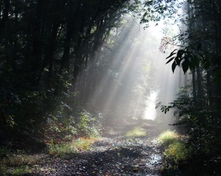 shutterstock_656855419