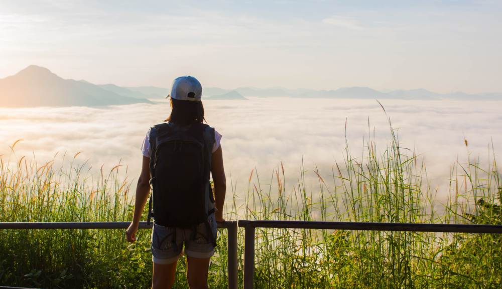 shutterstock_527029558