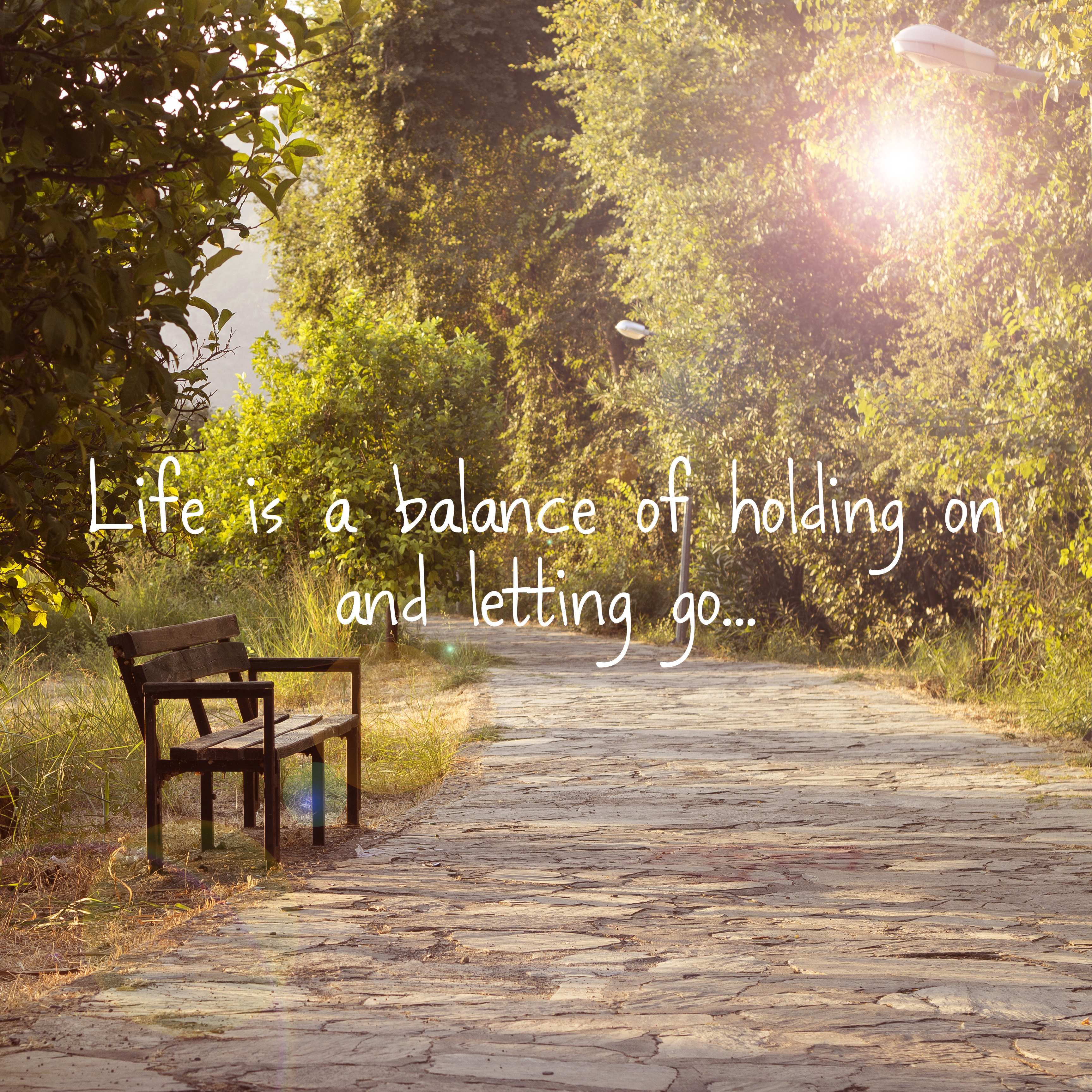 shutterstock_229454029